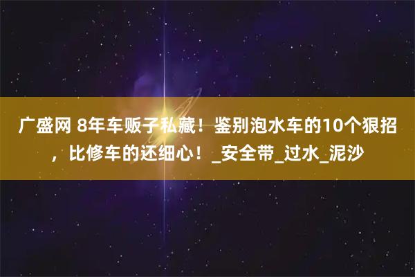 广盛网 8年车贩子私藏！鉴别泡水车的10个狠招，比修车的还细心！_安全带_过水_泥沙