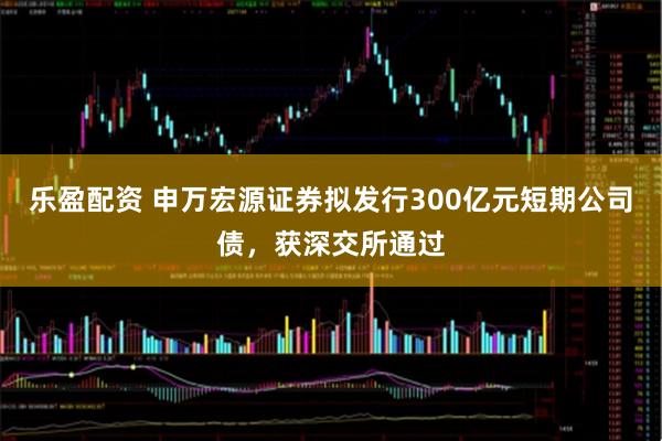 乐盈配资 申万宏源证券拟发行300亿元短期公司债，获深交所通过