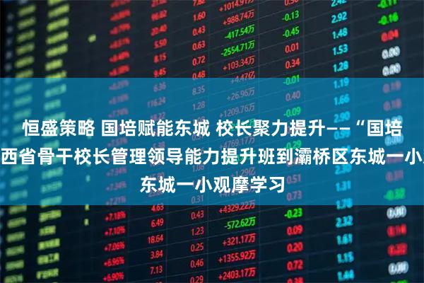 恒盛策略 国培赋能东城 校长聚力提升——“国培计划”陕西省骨干校长管理领导能力提升班到灞桥区东城一小观摩学习