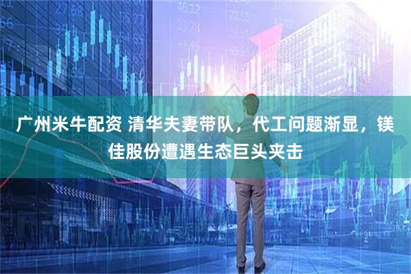 广州米牛配资 清华夫妻带队，代工问题渐显，镁佳股份遭遇生态巨头夹击