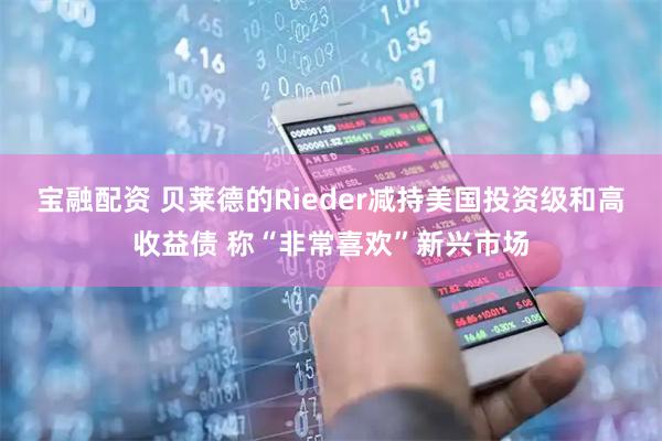 宝融配资 贝莱德的Rieder减持美国投资级和高收益债 称“非常喜欢”新兴市场